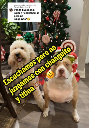 Understanding Pitbull Behavior and Barking