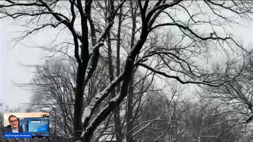 🔴 Así será el impacto de la tormenta invernal en NY durante las próximas horas. | Univision Nueva York