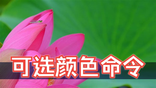 第45课：Photoshop可选颜色命令详解！周珂令Ps研究室