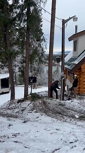 294K views · 1.4K reactions | We climbed this Douglas Fir Tree to eliminate bearing weight over the house. We were originally going to piece the tree down, and the client asked if we were going to fall it. We do whatever the client requests. Beauty lay down, hell of a client, and excellent job. #professionalTreeFeller #wannaclimbatree #saturdaywork | New Era Falling & Forestry Ltd. | Facebook