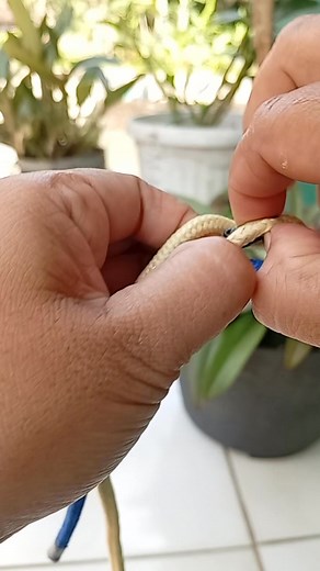 A clever idea to connect the rope by twisting it around the ends of two fingers, creating a drawstring cover that can be pulled back and forth ✅ #knottying #rope #tutorial #handmad #outdoor #diy | Lenny Sulastri