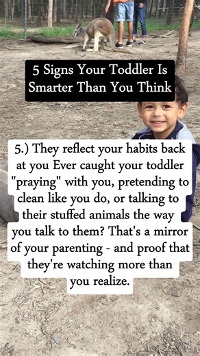 Positive Parenting | Calm Parenting | happy family | Your toddler isn’t “just being a toddler.” They’re learning, observing, experimenting… and showing you just how remarkable their little... | Instagram