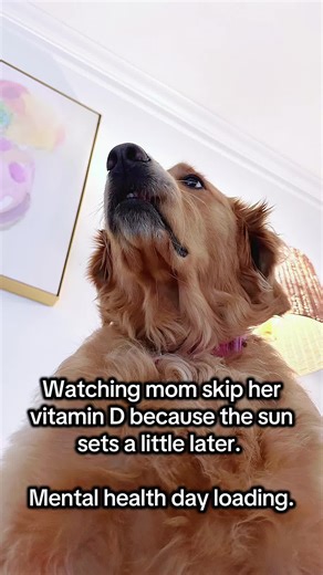 IYKYK ☀️ #seasonaldepression #sunshine #dog #supplements #fyp