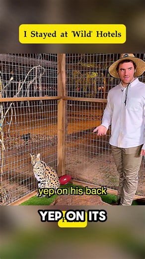 Experience Unique Encounters at Wild Hotels