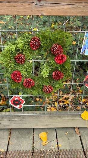 Little Wise Owls Outdoor Learning on Reels