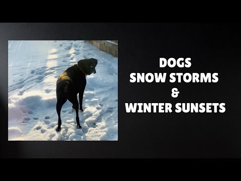 DOGS, SNOW STORMS & BEAUTIFUL SUNSETS | CANDID MOMENTS