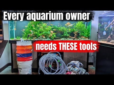 10 tools under $20 that you CAN'T keep fish without