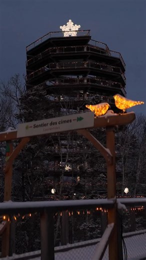 Sentier des cimes Laurentides on Instagram: "Même endroit. Deux ambiances. De jour, le Sentier des cimes invite à prendre l’air, à marcher en hauteur au-dessus de la forêt enneigée et à profiter des vues exceptionnelles qu’offre l’hiver. En soirée, le même parcours s’illumine doucement avec Lumagica, offrant une promenade hivernale apaisante, ponctuée de petites lumières et de moments féériques à partager. Deux façons de vivre le Sentier. Deux moments bien différents. À vous de choisir… ou de vi