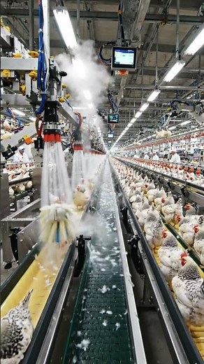 ⚡ How Chickens Are Processed at Lightning Speed #factory #automation