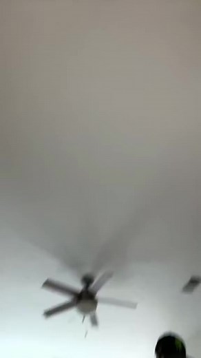 133K views · 1.6K reactions | Apparently this filter says how attractive we are, should we believe it? #beautiful #filterchallenge #attractive | Hailie Deegan | Facebook