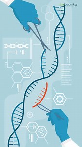 Molecular Cloning Explained in 60 Seconds #molecularcloning #cloning #geneticengineering #molecularbiology #DNAcloning #genecloning #recombinantDNA #biotechnology #bioengineering #genetics #PCRcloning #biotech #cloningprocess #geneticresearch #biotechcareers #science #cloningtutorial #geneticmodification #plasmidcloning #moleculargenetics | Biotecnika