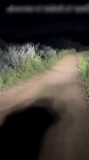 Why do these lights help you see more by showing you less? #viral #trending #fyp