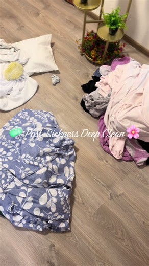 Post-Sickness Deep Clean Tips