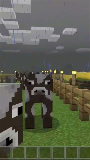 tour of cow farm minecraft #minecraft #minecraftshorts