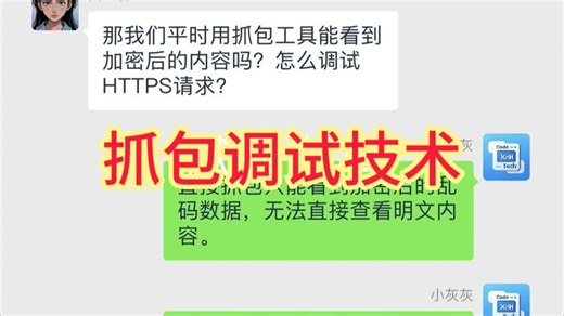 HTTPS加密传输原理深度解析与抓包调试实战