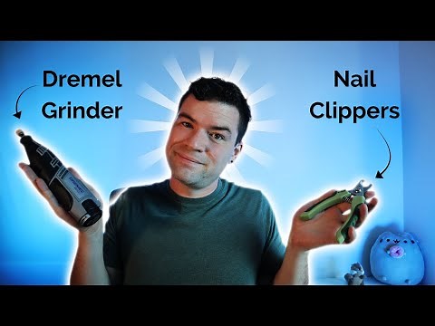What's Best To Trim Dog Nails, Nail Clippers Vs Dremel Grinder | Dog Nail Care