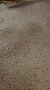 Discover our iconic Onitsuka Tiger range in new colors | Onitsuka Tiger | Facebook