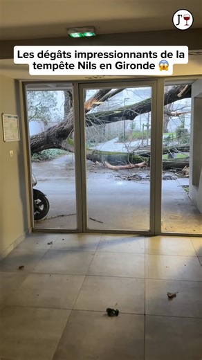 Quoi faire à Bordeaux on Instagram: "🌪️ Tempête Nils en Gironde : une nuit sous haute tension La tempête Nils a violemment frappé la Gironde, provoquant d’importants dégâts et de fortes perturbations. Jusqu’à 128 000 foyers ont été privés d’électricité, tandis que des rafales ont atteint 157 km/h au Cap Ferret. Routes coupées, inondations, interventions des pompiers et transports perturbés : les autorités appellent à la plus grande vigilance dans tout le département. 📹: journal.anim"