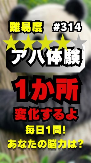 上級チャレンジ/1か所変化を見破れ/大人の脳トレ【アハ体験】No.314/#shorts #アハ体験 #脳トレ #脳トレクイズ #間違い探し #クイズ #ai生成 #観察力 #パンダ