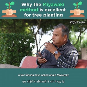 Why the Miyawaki method is excellent for tree planting | Peepal Baba
