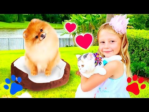 Nastya and Stacy exchanged their pets