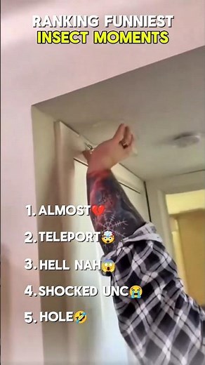 Top 5 FUNNIEST Insect Moments 🤣 #top5