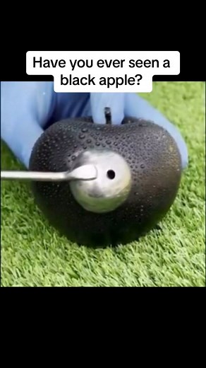 22K views · 222 reactions | Have you ever seen a black apple? | EdmundRambo | Facebook