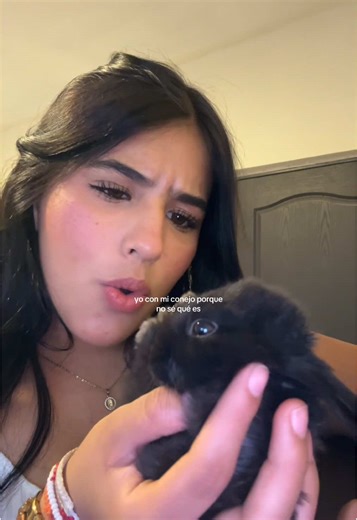Exploring Adorable Rabbit Videos on TikTok