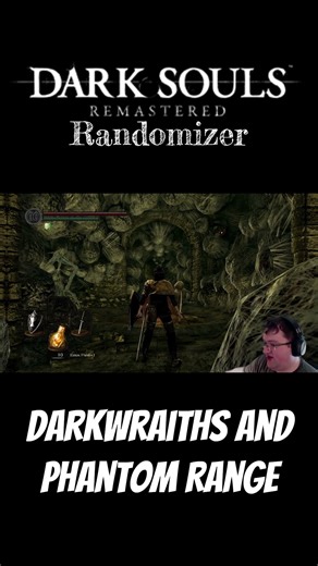 What is the Darkwraith's Hitbox?!?! #darksouls #darksoulsremastered #actionrpg #randomizer #shorts