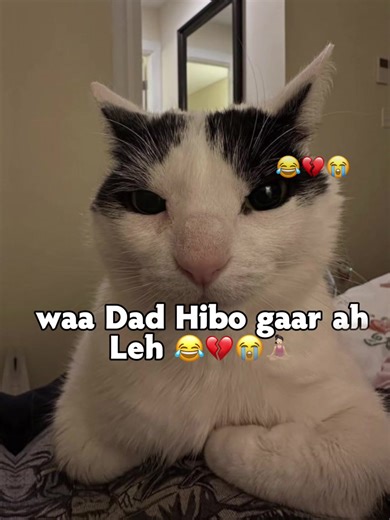 Funny Melissa Moments That Will Make You Laugh