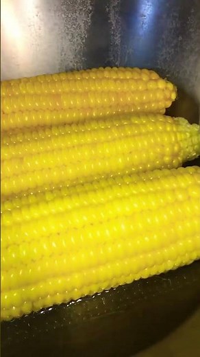 How to Boil Corn on the Cob on the Stove! Easy and Healthy Recipe | Sweet Corn #food #shorts