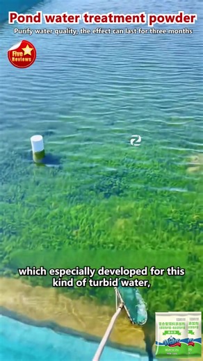 🌊【BLITZ-ÖKO】No more pond nightmares! Crystal clear water GUARANTEED in 48 hours (safe for fish!) “Sludge algae? Toxins? Your pond is quietly dying...” STOP mass mortality WITH THE POWER OF NATURE! Your professional water saver: ✅ DESTROYS ammonia & nitrite – protects fish/shrimp from poisoning ✅ KILLS algae without chemicals – Bacillus bacteria eat sludge (100% eco-friendly!) ✅ CLARIFIES cloudy water – visibility to the bottom in 2 days ✅ 1 bag = 5000m³ of freshness – enough for an Olympic swim