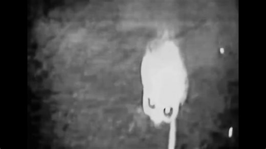 Let’s do a recap of the UFO world since the 70’s….. Shall we?🚸Travis Walton Story…….debunked 🚸Nancy Espisito Brooklyn Abduction……debunked🚸Bob Lazar……. collapsing like a house of cards🚸Varghinga Alien……Doctors story has changed three times, story about to fall🚸Phoenix Lights…… debunked🚸Alien Autopsy…… debunked🚸Tic Tac craft……was manmade 🚸Fast Moving……. drone going 35mphAlien Interview…….. NOT ONE PERSON WITH CREDIBLE EVIDENCE PROVING IT WAS A HOAX. NOT ONE PERSON FROM PRODUCTION SAYING TH