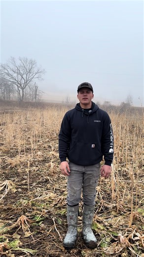 Frost Seeding Clover for Spring Germination Success