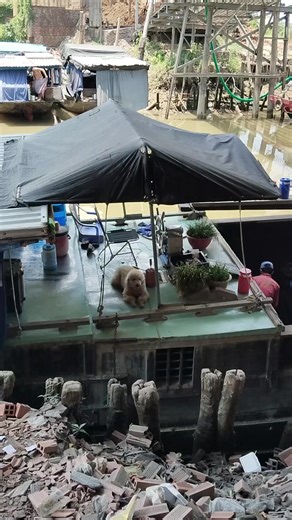 #capcut #tamtrang #xuhuongtiktokk #nhachaymoingay #nghesongnuoc