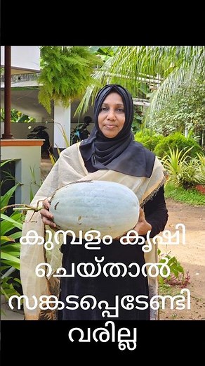 How to make two types of curry with ash gourd ❤