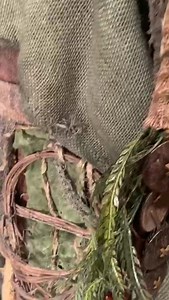 1.2K views · 19 reactions | Transworld 2020... Album 3...Introducing...