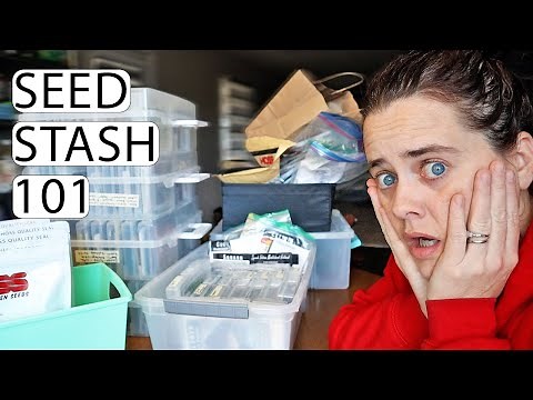 The Ultimate Seed Storage System | Organize Your Seed Stash Like a Pro | Fermented Homestead