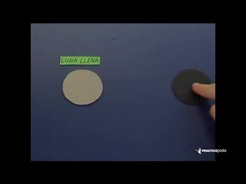 The phases of the moon