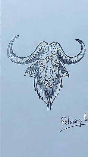 How to Draw a Buffalo Easy | Step by Step Drawing Tutorial