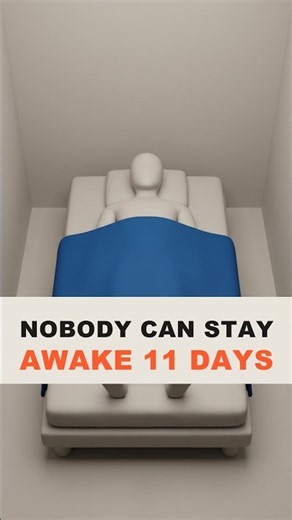What If You Never Slept Again