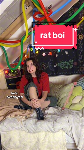 it’s obviously about hanging the washing on the washing line ??? #funnymemes #memesdaily