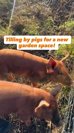 30 reactions · 5 comments | One of the things that I'm learning is...