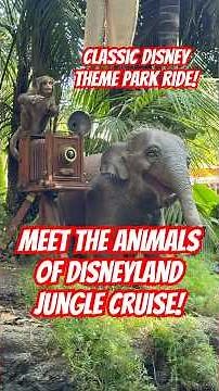 Behind the scenes riding Jungle Cruise at Disneyland theme park in California 🐅 #disneylandresort