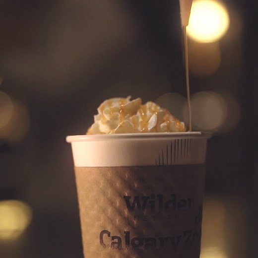 ZOOLIGHTS 2025 is back, brighter than ever! Immerse yourself in twinkling lights & holiday magic at this unforgettable event. | The Calgary Zoo