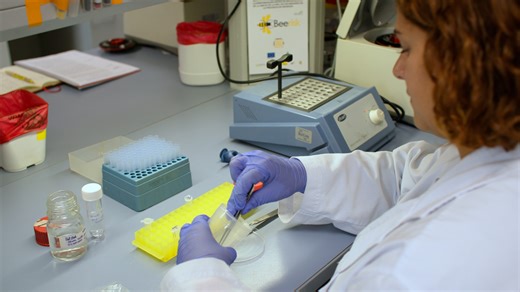 On-site DNA Detection of Trypanosomatid Parasites and <em>Nosema ceranae</em> Through Alkaline Lysis Coupled to RPA/CRISPR/Cas12a System