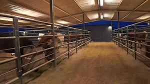 157K views · 6.2K reactions | It’s Border Patrol Birthday Week! Tack up and ride along with our Horse Patrol Unit and experience how our heritage on horse back is still an effective part of modern day national security. | US Border Patrol Del Rio Sector | Facebook