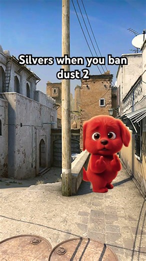 I hate noobs in cs #cs2 #counterstrike #faceit