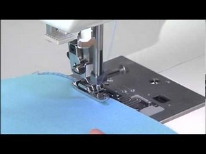 Singer-TC550 ふちがかりぬい