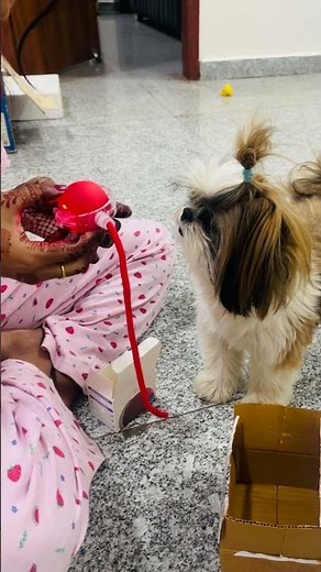 Dora receiving birthday gift from Mama❤️